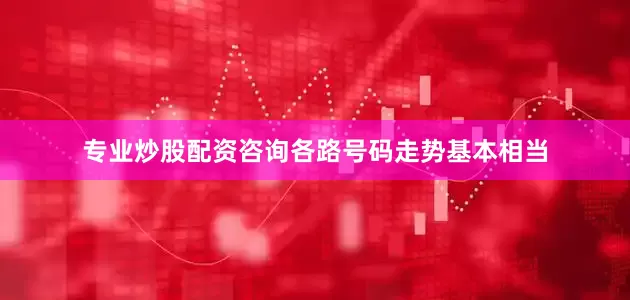 专业炒股配资咨询各路号码走势基本相当