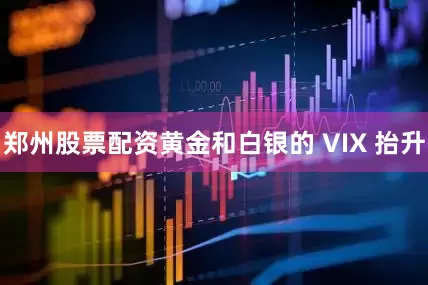 郑州股票配资黄金和白银的 VIX 抬升