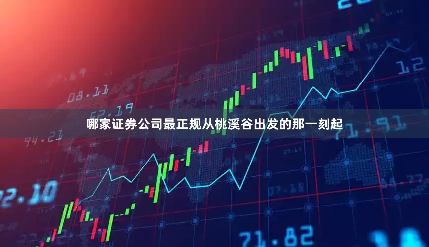哪家证券公司最正规从桃溪谷出发的那一刻起